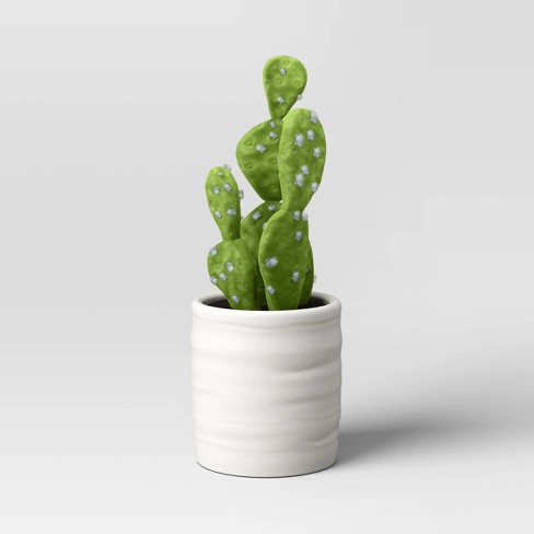 Small Cactus Plant In Pot - Threshold™ : Target