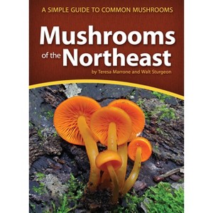 Mushrooms of the Northeast - (Mushroom Guides) by  Teresa Marrone & Walt Sturgeon (Paperback) - 1 of 1
