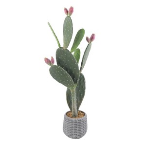 42 Inch Artificial Cactus Plant, Faux Desert Cacti Potted Plant with Fruit, Realistic Fake Cacti Saguaro for Home Garden Office Indoor Outdoor Decor - 1 of 4