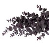 Vickerman Spiral Eucalyptus Collection - 4 of 4