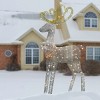 60" Prelit Crystal Splendor Silver Sisial Reindeer with Gold Antlers White Lights - National Tree Company - 2 of 4