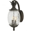 Acclaim Lighting Lanai 2 - Light Wall Light in  Black Coral - 4 of 4
