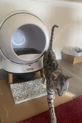 Guest review image 2 of 2, zoom in