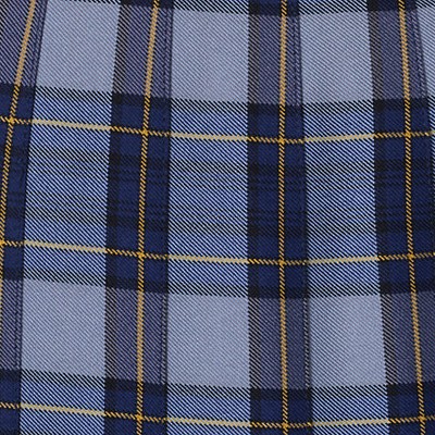 classic navy plaid