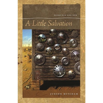 A Little Salvation - (Brown Thrasher Books) by  Judson Mitcham (Paperback)