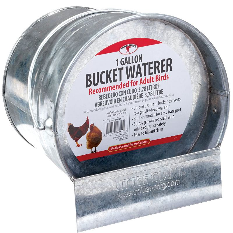 Little Giant 1-Gallon Galvanized Steel Poultry Bucket Waterer w/ Built-In Handle (2 Pack), 2 of 3