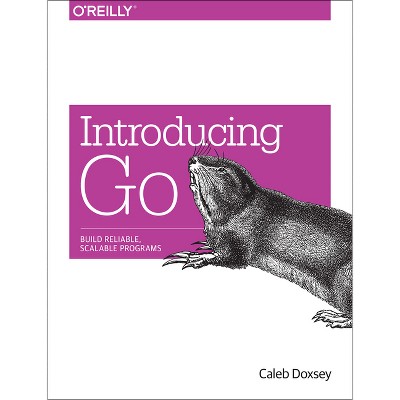 Introducing Go - by  Caleb Doxsey (Paperback)