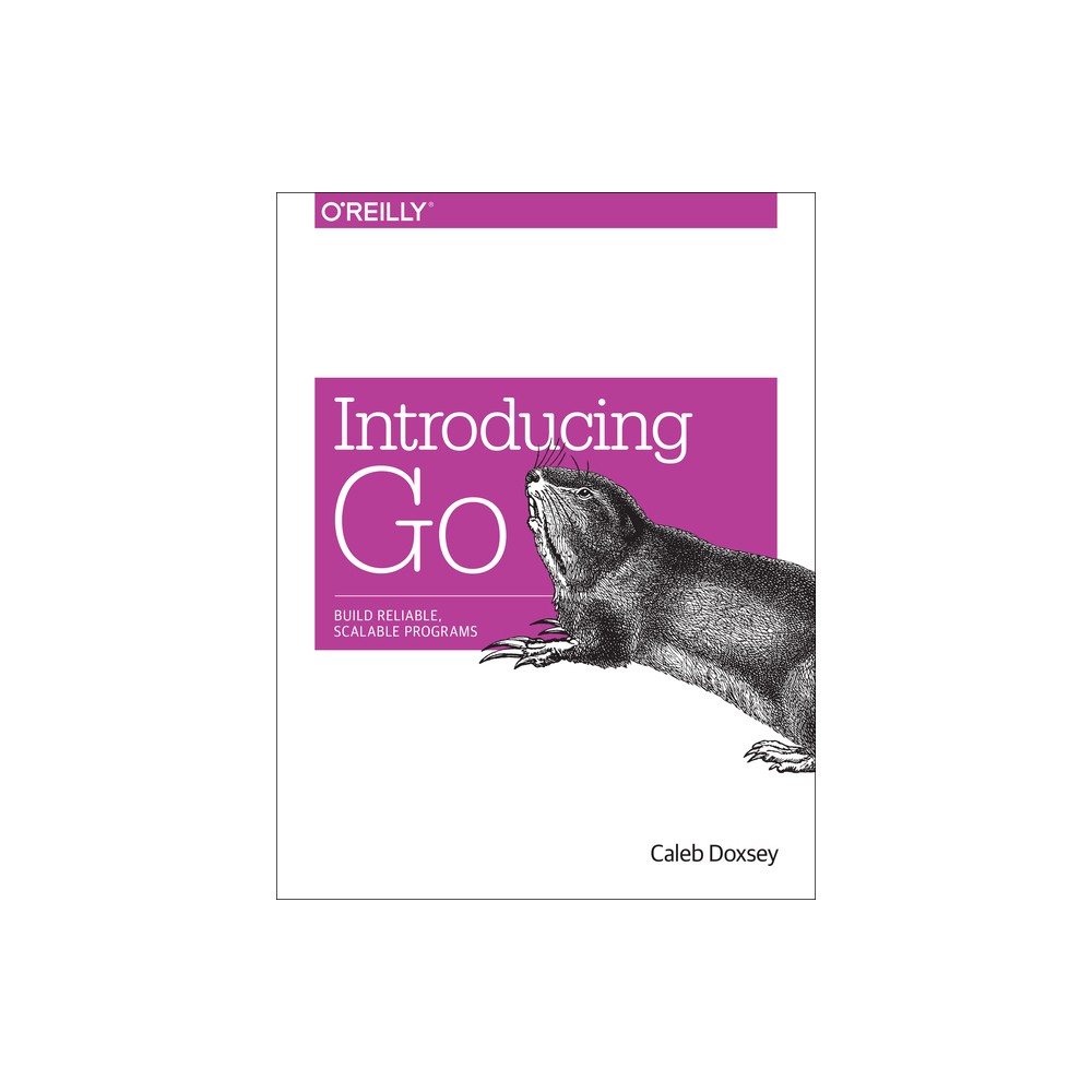 Introducing Go - by Caleb Doxsey (Paperback)