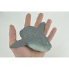 Mola Mola, Ocean Sunfish, Saltwater Fish, Museum Quality, Hand Painted, Realistic, Model, Toy, Kids, Gift,  4 1/2 Inches.  CH1008 BB220 - 2 of 4