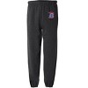 University Of Detroit Mercy Primary Logo Jogger Sweatpants - 2 of 4