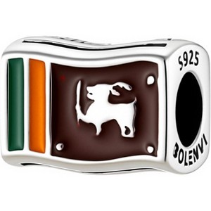 Sterling Silver Travel Charm - World Flags Country Bead for Bracelets, Gift for Mom & Daughter - 1 of 4