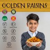 Eastanbul Golden Raisins, Seedless Raisin Sultanas, Pasas Secas de Uva, AKA Kishmish, Sun Dried, No Sugar Added, 14.5oz - 2 of 4