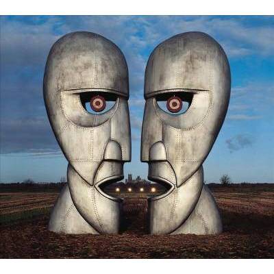 Pink Floyd - Division Bell (Vinyl)