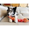 KONG Rope Bunji Dog Toy - M - 3 of 3