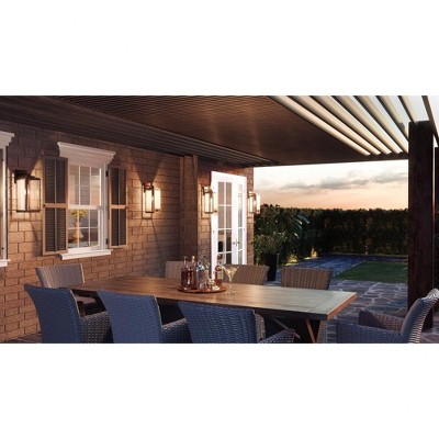 Wakefield Black Iron Outdoor Wall Lantern with Clear Seedy Glass