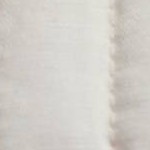 Parchment