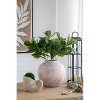 Okak Sand and Cement Conch Shell Planter with Textured, Flower Pots for Indoor Outdoor Decorative Plants - 4 of 4
