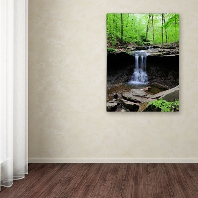 Blue Hen Falls 32" x 24" Canvas Art Print