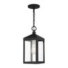 Livex Lighting Nyack 1 - Light Pendant in  Black - 4 of 4