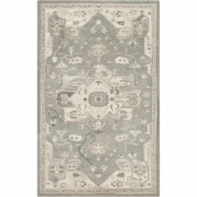 Hauteloom Broomfield 1196 Hand Tufted Taupe Wool Rug