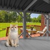 Window Catio for Indoor Cats,Outdoor Cat Enclosure for Sliding Windows,Wall Mounted Wooden Cat House with Mesh Panels - LAOTIES - 3 of 4