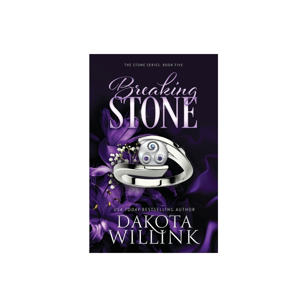 Breaking Stone - by Dakota Willink (Paperback)