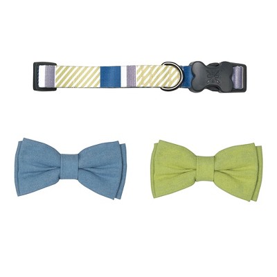 Arrow Stripe Dog Collar With Bow Ties 