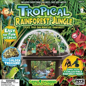 Toys By Nature: Tropical Rainforest - DIY Terrarium Kit, Mini Jungle w/ Treasure - 1 of 4