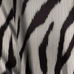 chai latte zebra
