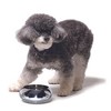Unspill-a-Bowl® Stainless Steel Dog Bowl - Paws Pattern | No Spill, Long Ears, Slow Feeding, & Travel Bowl - 3 of 3