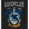Harry Potter Chibi Characters & Glowing Sword Long Sleeve Adult Hooded Sweatshirt-Small - 2 of 2