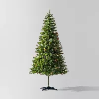 Deals on Wondershop 6.5ft Pre-Lit Alberta Spruce Artificial Christmas Tree