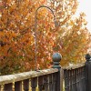 Achla Designs 41.5" Iron Deck Rail Shepherd's Pole with Adjustable Bird Feeder Black Powder Coat Finish - 2 of 4