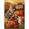 Fall Kittens Pumpkins House Flag Apple Basket Autumn 28" x 40 Briarwood Lane - 3 of 4