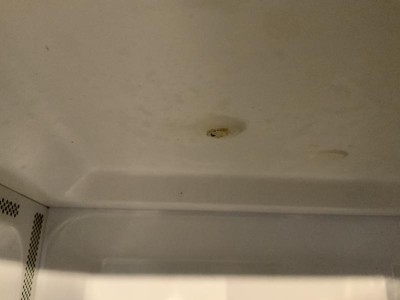 Guest review image 1 of 2, zoom in