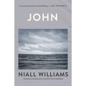 John - by  Niall Williams (Paperback) - 1 of 1