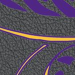 minnesota vikings