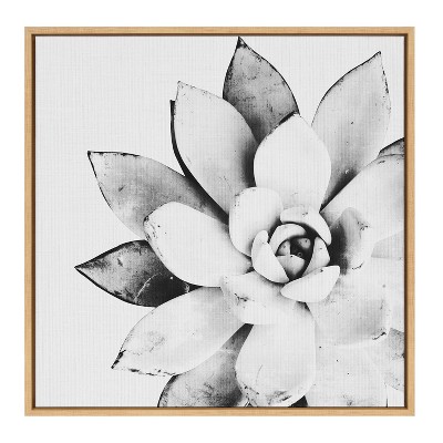 Modern Black and White Succulent Canvas Print with Natural Frame