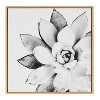 Kate & Laurel All Things Decor 30"x30" Succulent Framed Canvas by Tai Prints Natural - 2 of 4