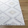 Hauteloom Tyipa Area Rug - 4 of 4