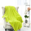 PiccoCasa Solid Print Microfiber Lightweight Flannel Fleece Soft Bed Blanket - 3 of 4