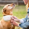 Fur Mama Cappuccino Mug Dolomite 24 oz - 2 of 3