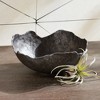 Plum & Post Roland Organic Grande Decorative Bowl - 4 of 4
