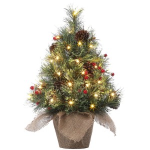 WhizMax 3ft Prelit Mini Christmas Tree with 78 Warm White LED Lights, Small Holiday Xmas Tree with Pine Cones, Red Berry Clusters and Cloth Bag Base - 1 of 1