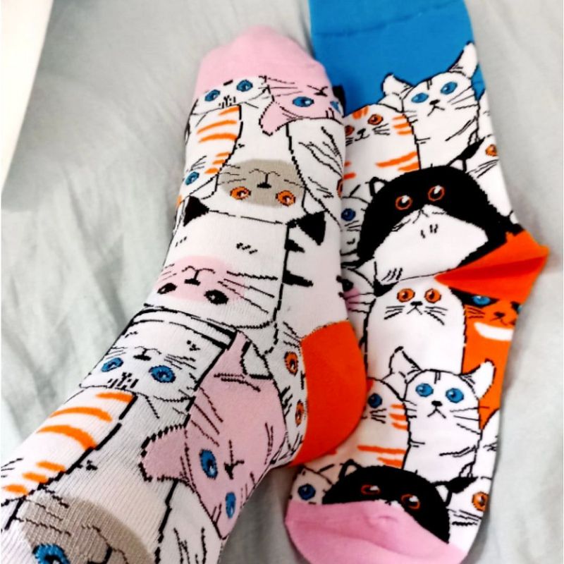 Cat Socks (Women's Sizes Adult Medium) from the Sock Panda, 2 of 4