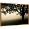 Amanti Art Shenandoah by Andy Magee Canvas Wall Art Print Framed 23 x 16-in. - 2 of 4