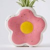 Live Houseplant with Florets Pot Pink - Good Little Garden™ - 2 of 4