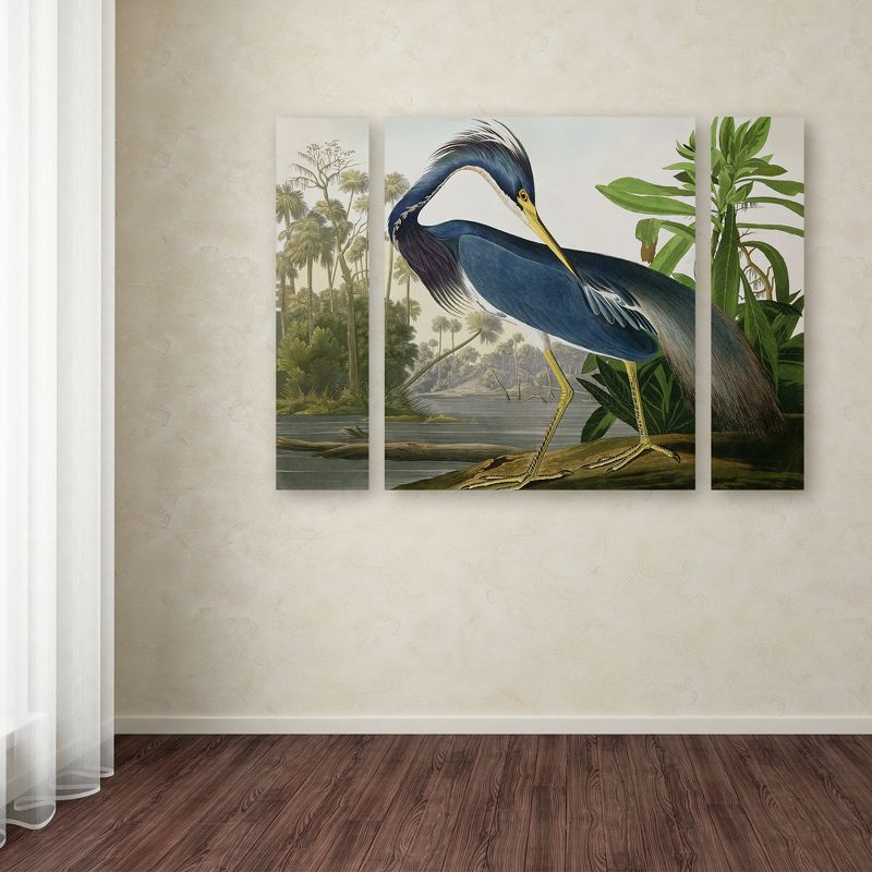 Trademark Fine Art - John James Audubon 'Louisiana Heron' Multi Panel Art Set Small, 3 of 4