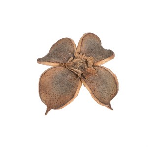 Vickerman Natural Botanicals 0.8" Cotton Flower, Natural. Includes 1 kilogram of product per unit - 1 of 4