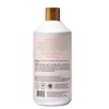 Raw Sugar Moisture Loving Hand Wash Refill Bottle - Watermelon + Fresh Mint - 34 fl oz - 2 of 4